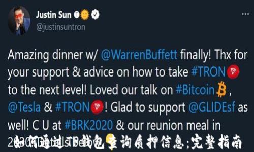 
如何通过TP钱包查询质押信息：完整指南