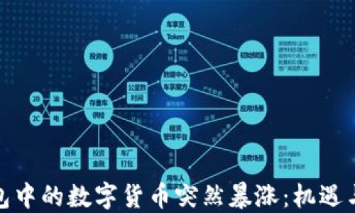 
TP钱包中的数字货币突然暴涨：机遇与风险