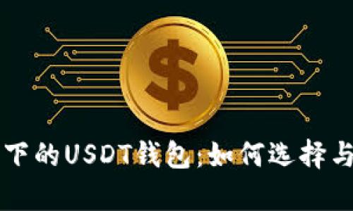 比特币网络下的USDT钱包：如何选择与安全性分析