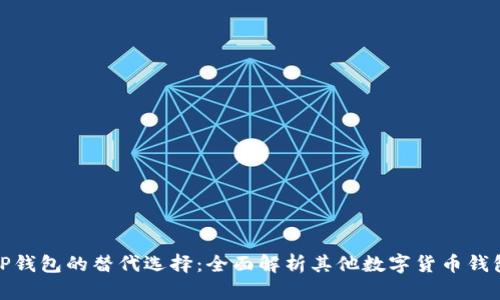 TP钱包的替代选择：全面解析其他数字货币钱包