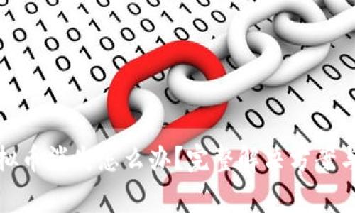 tp钱包中的虚拟币消失怎么办？完整解决方案与常见问题解析