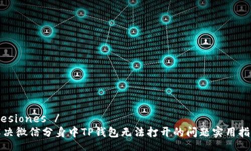  lesiones /
解决微信分身中TP钱包无法打开的问题实用指南