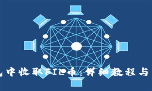 如何在TP钱包中收取FIL币：详细教程与常见问题解答