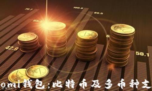 
全面解析Coinomi钱包：比特币及多币种支持的最佳选择