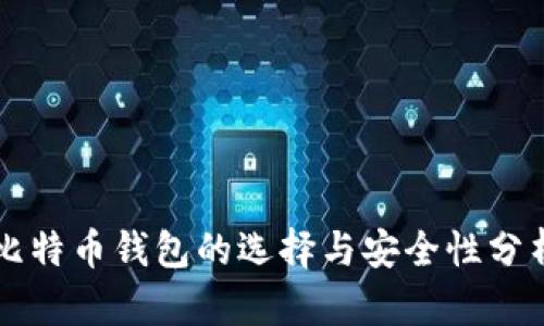 比特币钱包的选择与安全性分析