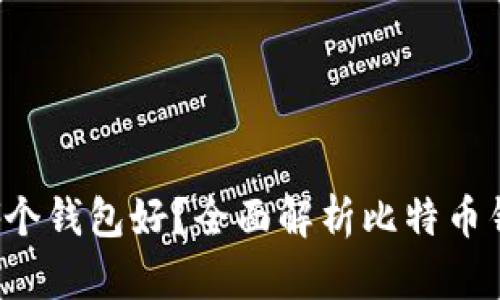  比特币存哪个钱包好？全面解析比特币钱包选择指南