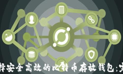 
如何选择安全高效的比特币存放钱包：完整指南