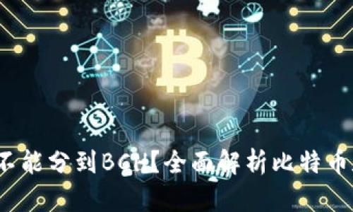 比特币在钱包里，能不能分到BCH？全面解析比特币和比特币现金的关系