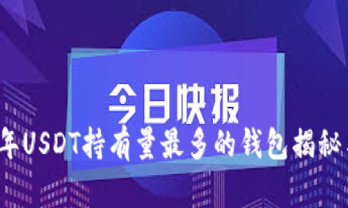 2023年USDT持有量最多的钱包揭秘与分析