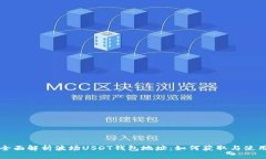 全面解析波场USDT钱包地址：如何获取与使用