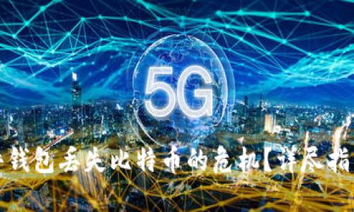 如何应对软件钱包丢失比特币的危机？详尽指南与解决方案