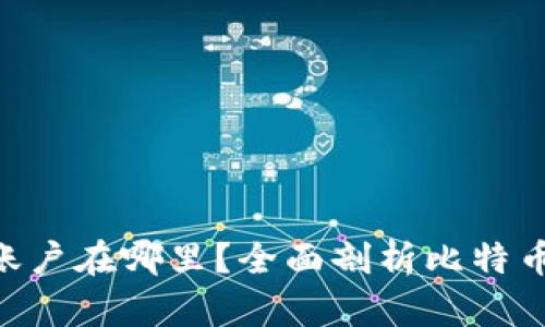 iyaoti比特币钱包账户在哪里？全面剖析比特币钱包的类型与选择