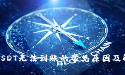 TP钱包USDT无法到账的常见原因及解决方案