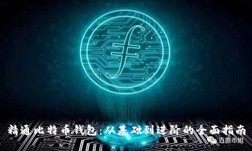 精通比特币钱包：从基础到进阶的全面指南