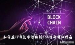 如何在TP钱包中切换到BSC链的详细指南