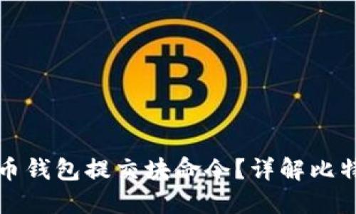如何使用比特币钱包提交块命令？详解比特币区块链技术