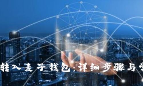 如何将USDT转入麦子钱包：详细步骤与常见问题解答