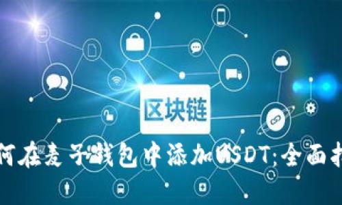 如何在麦子钱包中添加USDT：全面指南