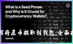 如何将屎币提取到钱包：全面指南