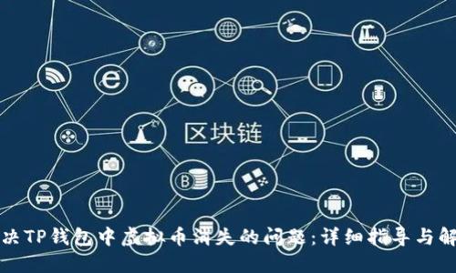 如何解决TP钱包中虚拟币消失的问题：详细指导与解决方案