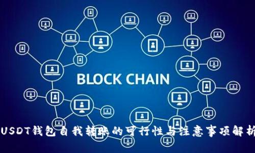 USDT钱包自我转账的可行性与注意事项解析