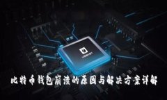 比特币钱包崩溃的原因与解决方案详解