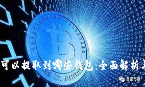 USDT可以提取到哪些钱包：全面解析与推荐